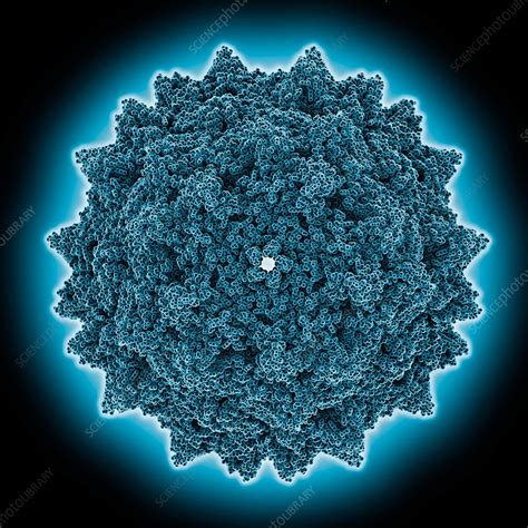 Adeno Associated Virus Type 2 Capsid Molecular Model Stock Image