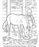 Tegninger Cavalo Heste Caballos Colorear Cavalos Sparet Tjent Også Læs sketch template