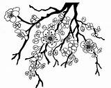 Blossoms Tree sketch template