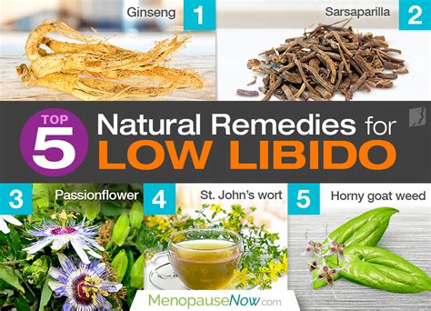 top 5 natural remedies for low libido menopause now
