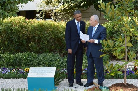 magnolia tree brought from president obama as t to israel may need