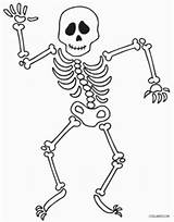Skeleton Coloring Skelett Skeletons Malvorlagen Cool2bkids Ausdrucken Kostenlos sketch template