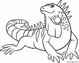 Iguana Cartoon Animal Reptile Coloringall Sonrisas Linda Automatically Device sketch template