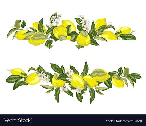 lime template frame border wth citrus fruits  flowers