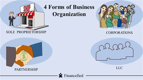 primary forms  organizations financefied