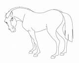 Stallion Cimarron Lineart Deviantart sketch template