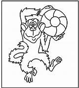 Monkey Printable Coloring 2493 2780 Posted Size May sketch template