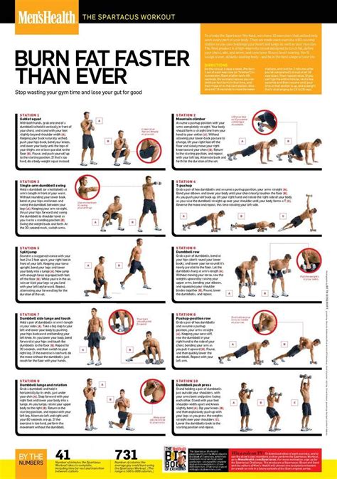 melhores ideias de dumbbell workout plan  pinterest exercicios de cardio treinos de