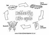 Cycle Butterfly Life Colouring Coloring Kids Butterflies Sheets sketch template