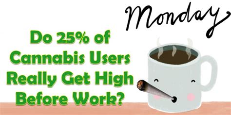 cannabis users   high  work
