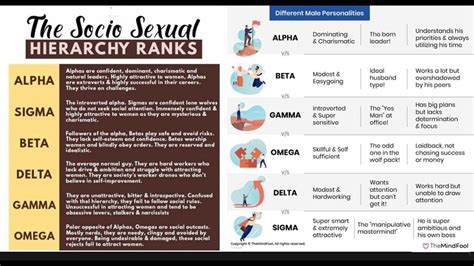 From Alpha To Omega What Is Your Social Sexual Hierarchy Rank Youtube