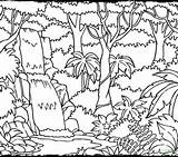 Rainforest Jungle Coloring Drawing Pages Kids Layers Printable Endangered Species Getcolorings Color Amazon Drawings Paintingvalley Print Getdrawings Colorings sketch template