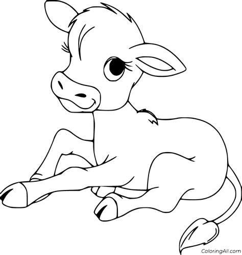 printable calf coloring pages  vector format easy  print