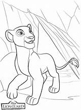 Lion Leon Guardia Kiara Dibujos Kion Nala Bestcoloringpagesforkids León Coloreando Simba sketch template