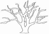 Pohon Mewarnai Daun Tanpa Pepaya Dari sketch template