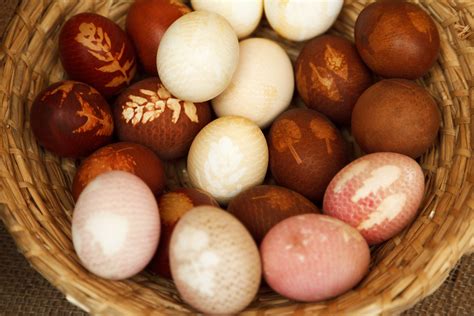 brown easter eggs  stock photo public domain pictures