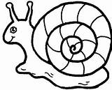 Snail Slakken Caracoles Slak Schnecken Dieren Ausmalbilder Zentangle Animaatjes sketch template