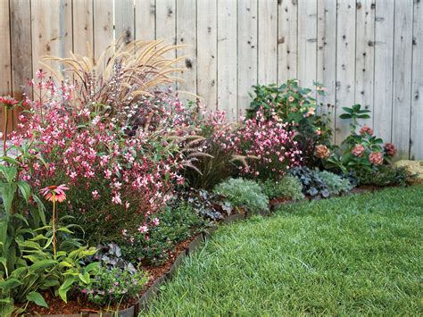 foliage  flowers  soften  wall accent  lawn