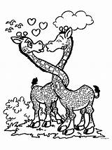 Ausmalbilder Verliefd Giraffen Malvorlagen Coloriage Liefde Liebes Ausmalen Amoureux Verliefde Animaatjes Colorier sketch template