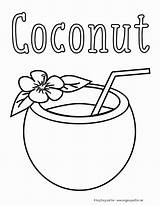 Coconuts Rylee Hillary sketch template