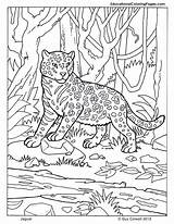 Coloring Jaguar Pages Mammals Animal Kids Printable Jungle Mammal Animals Camouflage Drawing Book Zoo Big Color Print Four Sheets Baby sketch template
