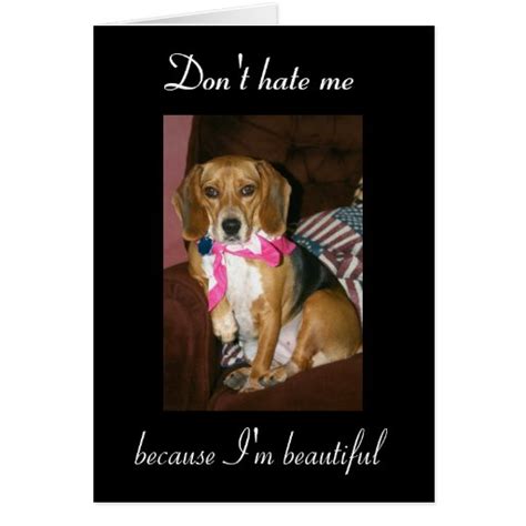 don t hate me because i m beautiful card zazzle