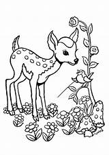Printable Tulamama Little Bambi Forest sketch template