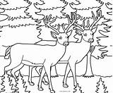 Deer Hirsch Cool2bkids Tailed sketch template