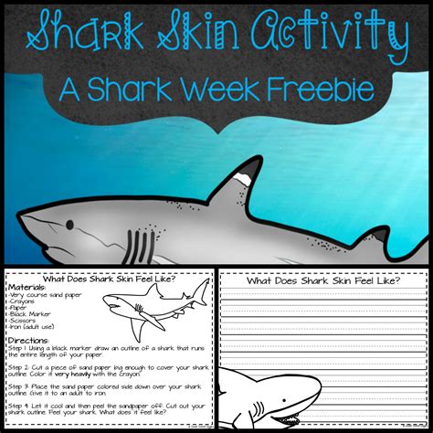 shark week freebie included grade school giggles