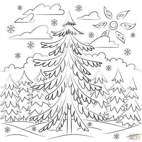 pine tree coloring page  printable coloring pages