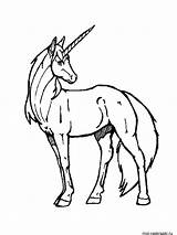 Unicorn Pages Coloring Printable sketch template