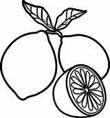 Fruit Slice Wecoloringpage sketch template