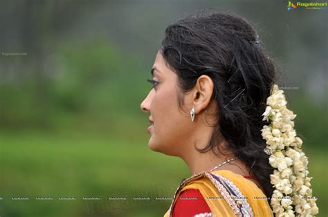supurna malakar high definition image  telugu actress photo gallerystills heroines hot