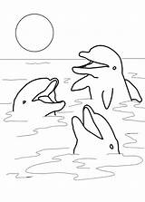 Delfini Pianetabambini Possibile Inoltre Funzioni Diretta Ricordiamo Utilizzare Alternativa sketch template