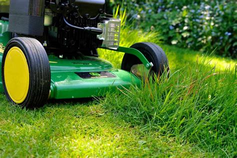 lawn care tips lawn maintenance bbc gardeners world magazine