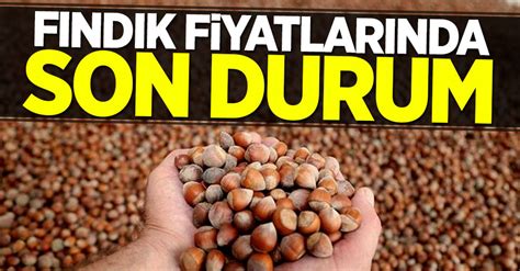 Fındık Fiyatlarında Son Durum 31 Temmuz Çarşamba Güncel