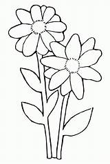 Coloring Daisy Pages Flower Daisies Popular Crafthubs Coloringhome Related sketch template