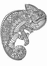 Mandala Coloring Animal Pages Kids Chameleon sketch template