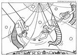 Circus Coloring Trapeze Pages Artists Themed Kids Color Cirque Sheets Circo Crafts Animals Du Search Google Artist Coloriage Carnival Hellokids sketch template