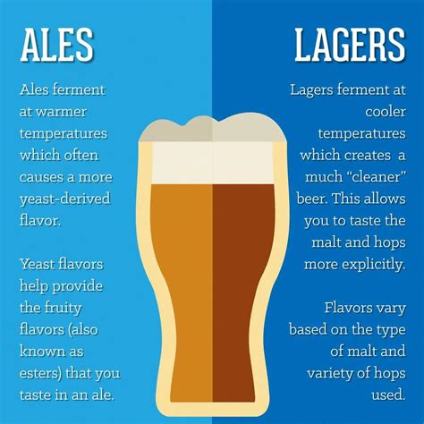 differences  ale  lager