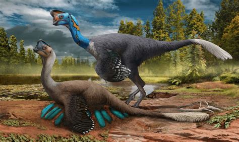 paleontologists  discovered  theropod fossil sitting   clutch