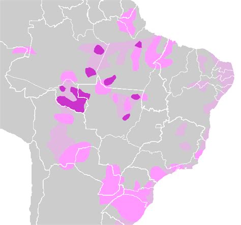tupiguarani languages wikiwand