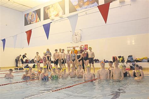 swimming club diving  success newton news