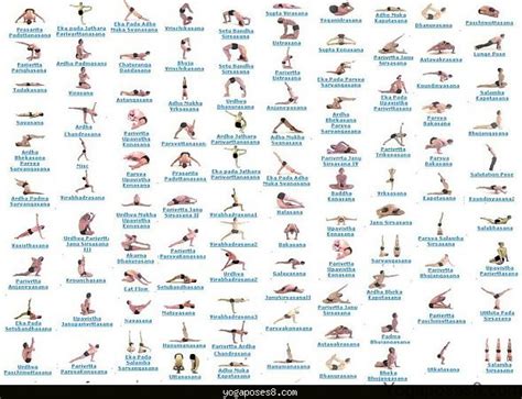 all the yoga poses