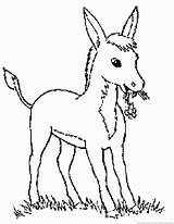 Coloring Mule Pages Grass Donkey Eating Drawing Animals Getdrawings sketch template