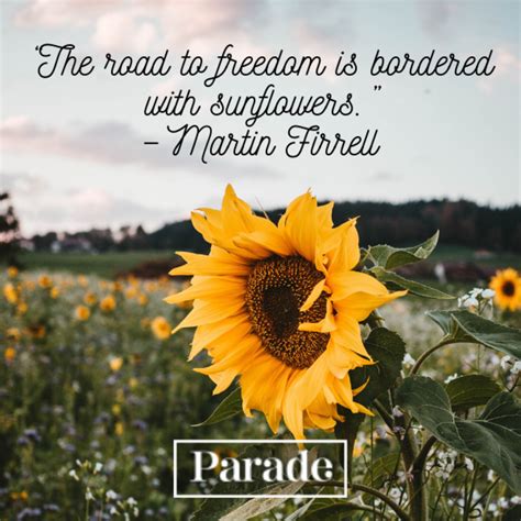 sunflower quotes  bring  joy parade