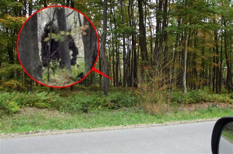 Bigfoot Exists And We’ve Got His Dna Researchers