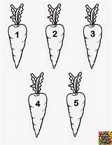 Matching Number Carrots Printable Sheet Kids Let sketch template