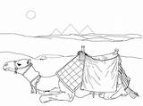 Coloring Camel Pages Lying Down Coloringbay sketch template