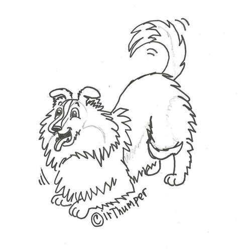 sheltie coloring pages coloring pages